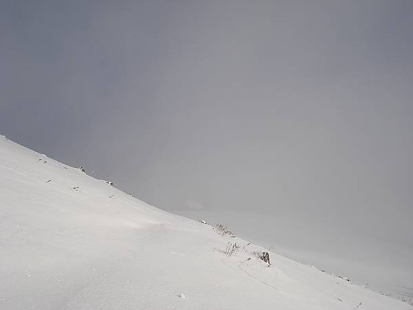 11 Hofbauerhuette im Nebel